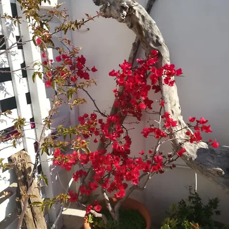 Bed & Breakfast Mandorleolio Polignano a Mare